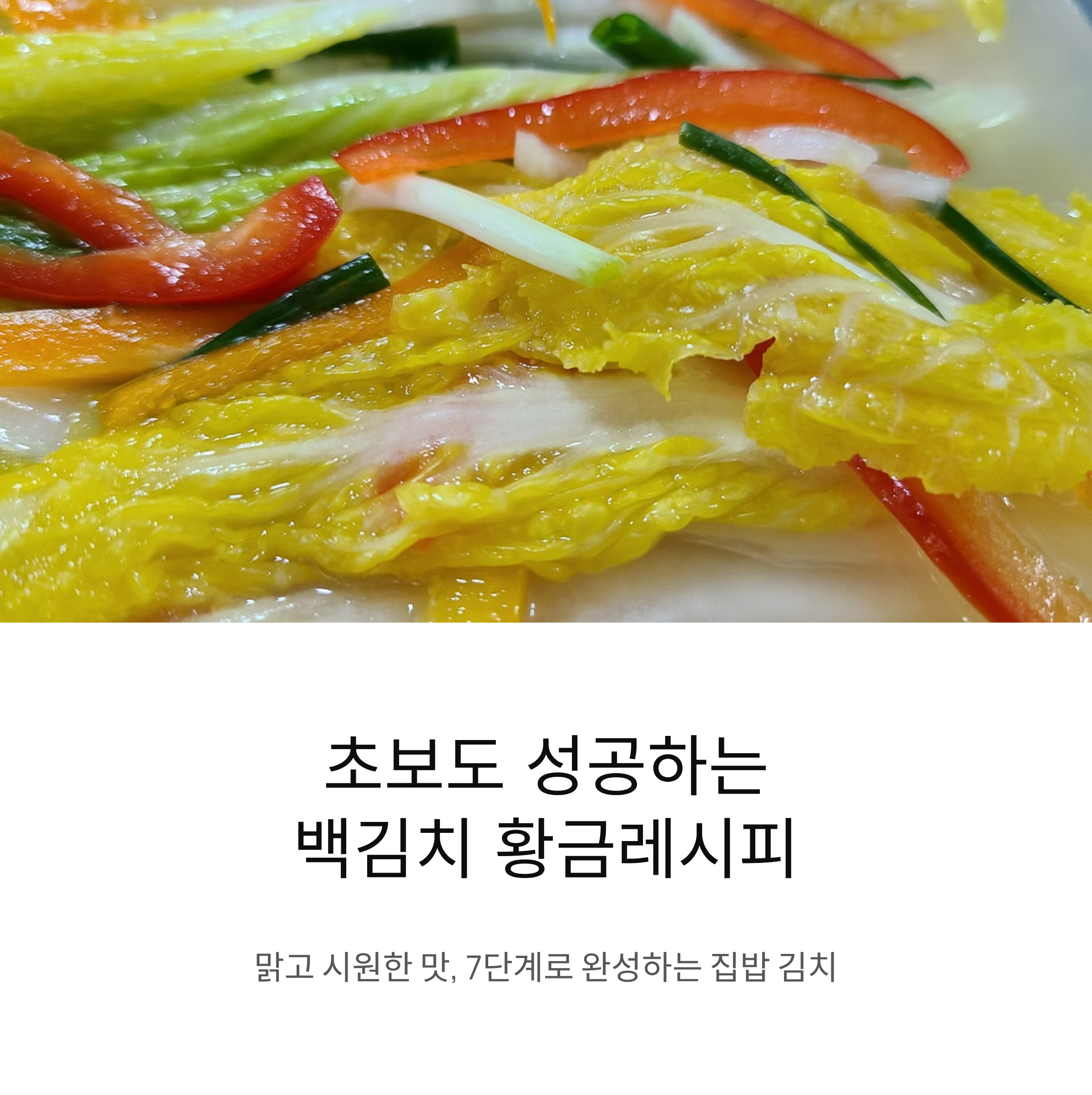 초보도 바로 성공하는 집에서 완성하는 백김치 황금레시피