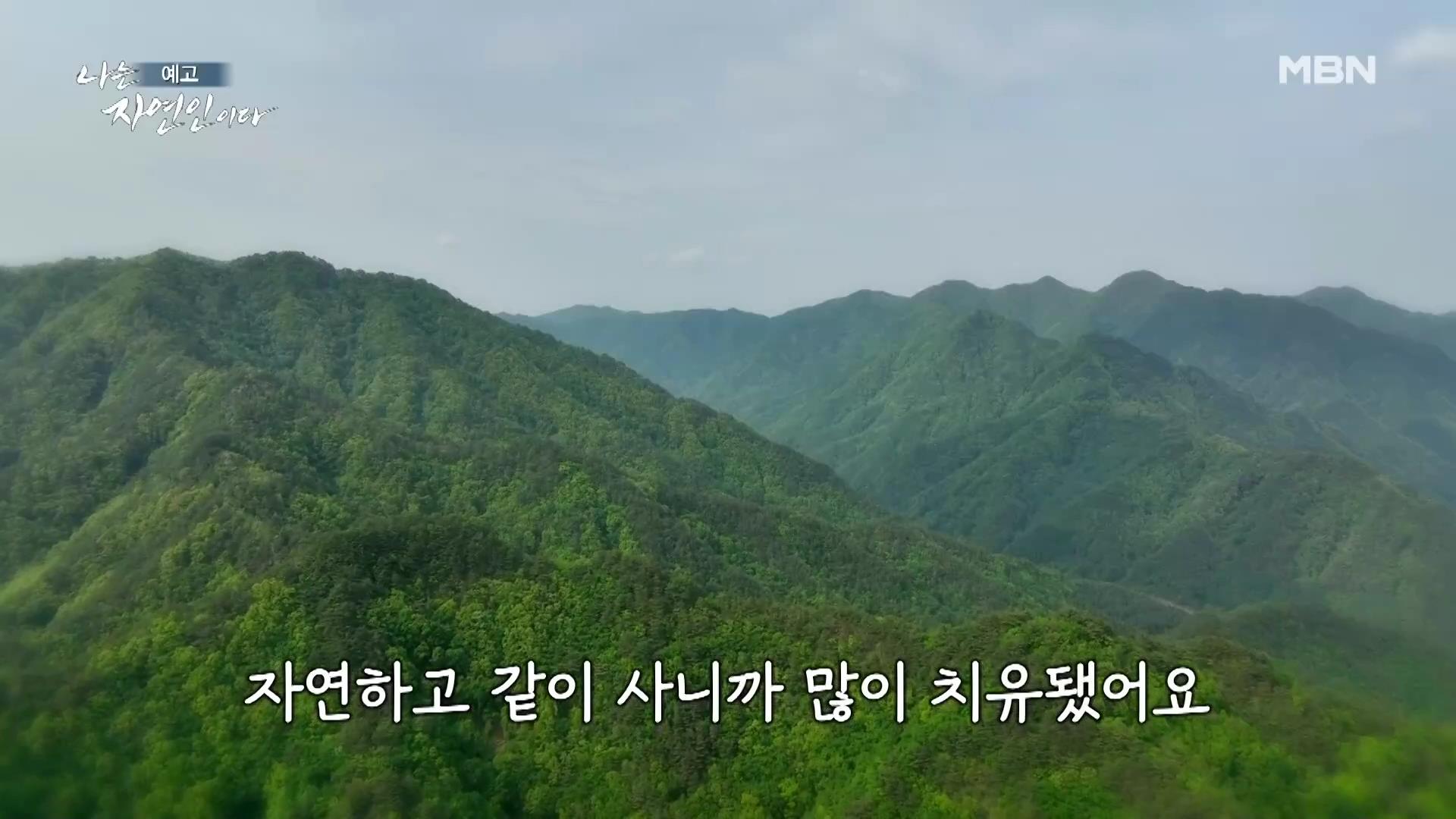 나는 자연인이다 남편 뇌출혈 병간호 산골 의녀 윤장금 마운틴 허니 치킨 당신과 함께였다면 자연인 윤부연 소개 및 윤택 출연 555회 다시보기