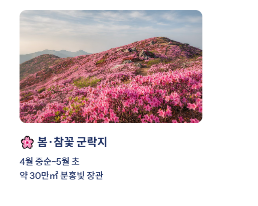대구 근교 산책·달리기·트레킹 명소 완벽 가이드 | 주말 액티비티 추천