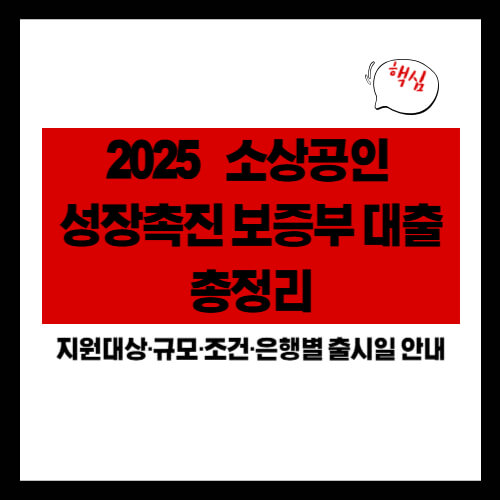 2025 소상공인 성장촉진 보증부 대출 총정리|지원대상·규모·조건·은행별 출시일 안내