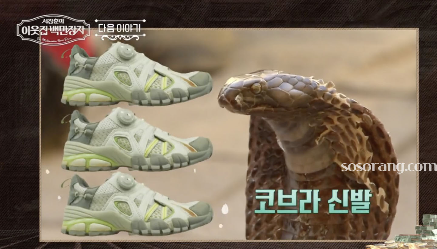 권동칠 대표(회장)가 세계 최초로 개발한 트렉스타 경등산화 네스핏 기술 신발