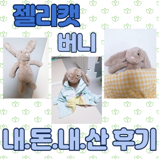 젤리캣 버니 내돈내산 후기!