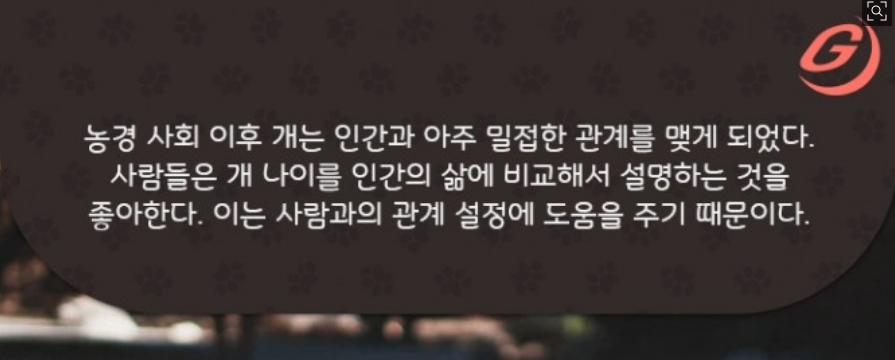 웃고 있는 강아지