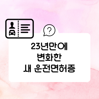 새 운전면허증