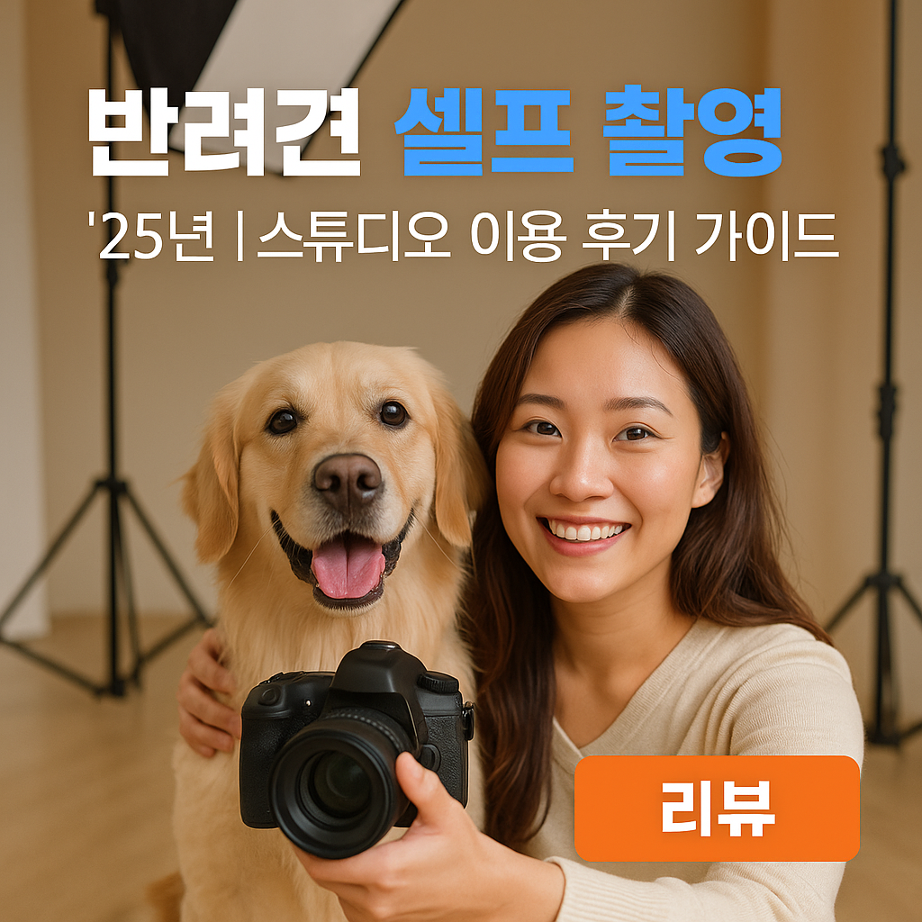 반려견 셀프 촬영 2025년 ｜ 스튜디오 이용 후기 가이드