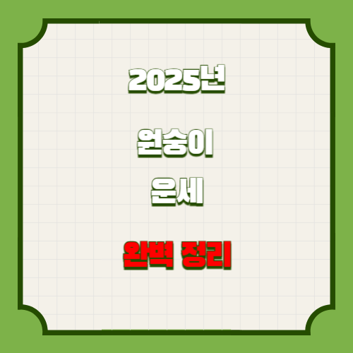 2025년 원숭이띠 운세 완벽정리
