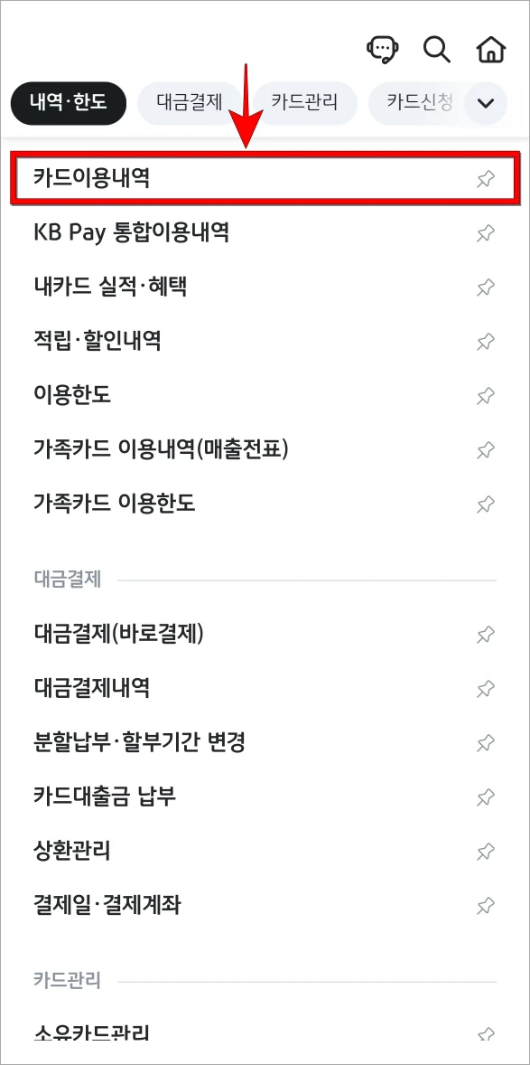 메뉴에서 '카드이용내역'을 선택