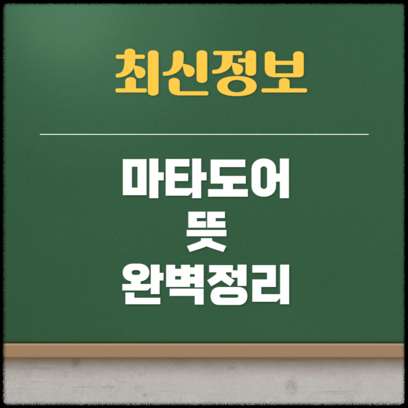 마타도어 뜻