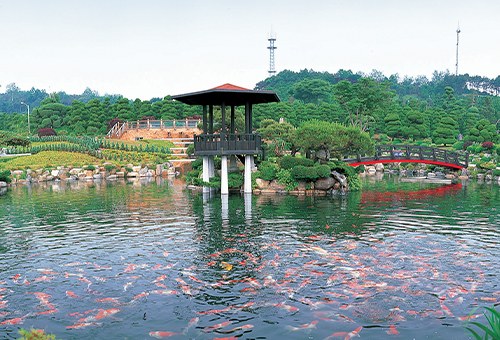 철쭉 명소 세종 가볼만한 곳