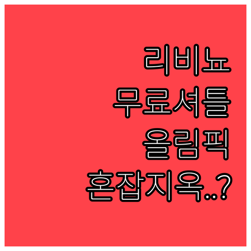 리비뇨 무료 셔틀버스 이용법과 올림픽..