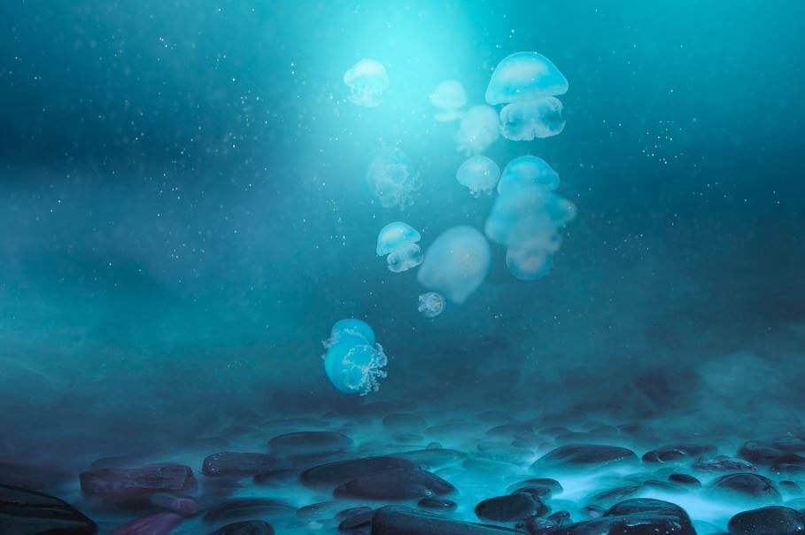 돌아가신 할머니가 나오는 꿈해몽