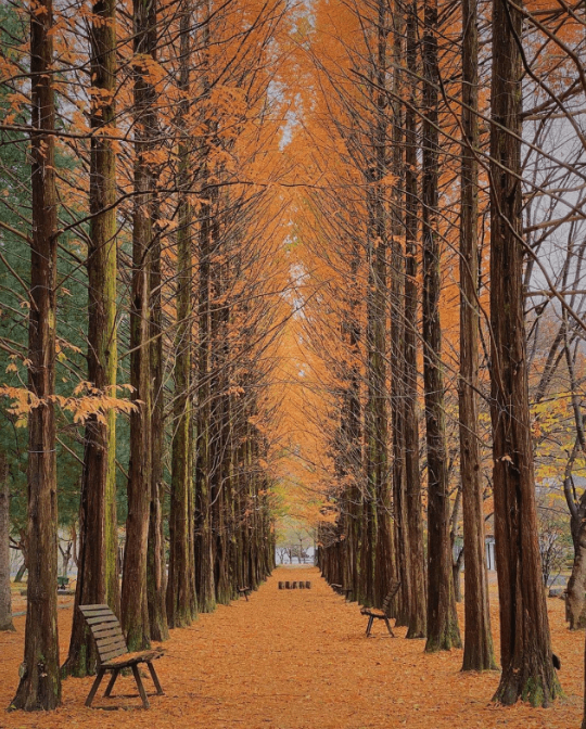 보보스캇 캠핑장