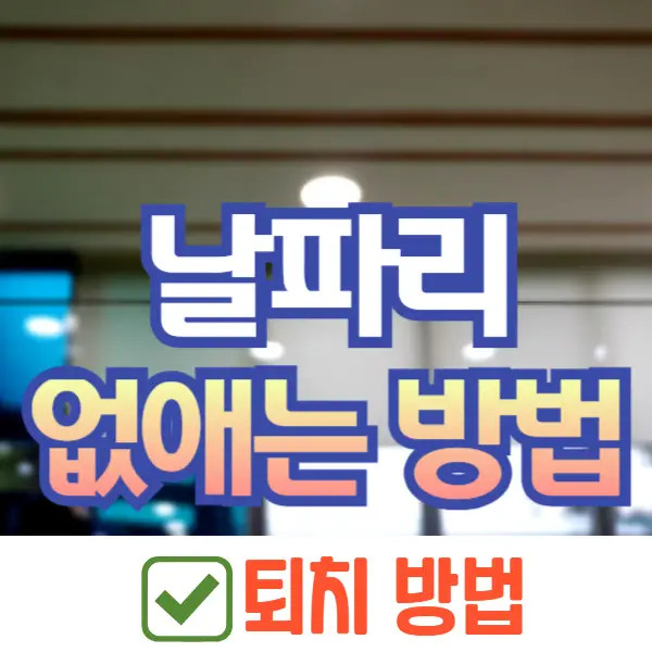 날파리 없애는 방법