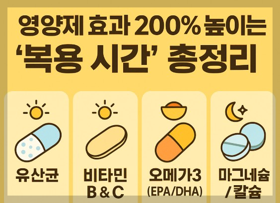 영양제 효과 200% 높이는 복용 방법