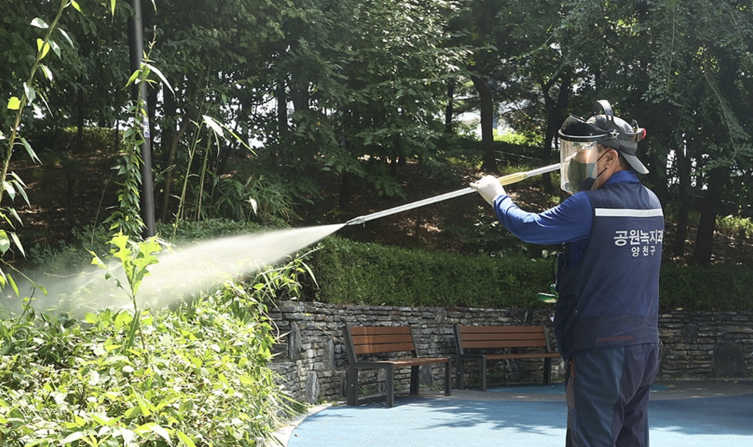 친환경 러브버그 퇴치법 비교분석