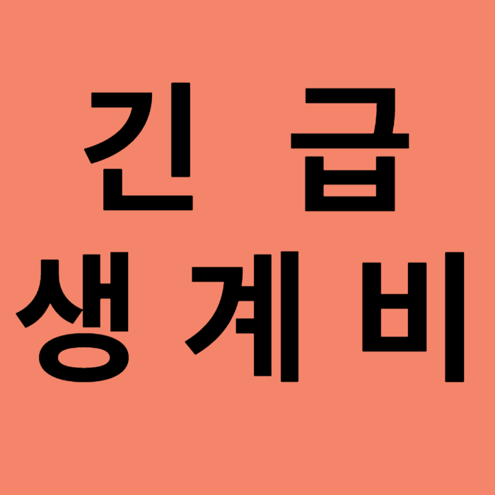 긴급생계비 지급 일정 및 지원 금액