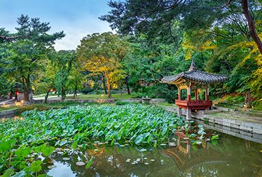 궁패스 예매 이용방법 2024 궁중문화축전