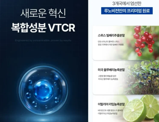 루노비전-주요성분