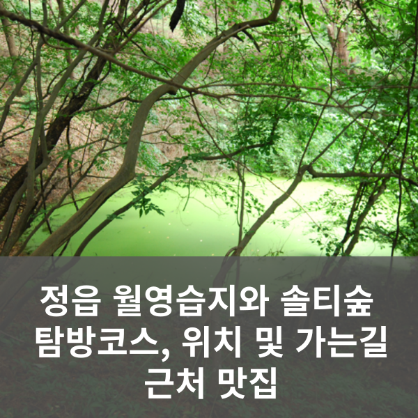 월영습지와 솔티숲