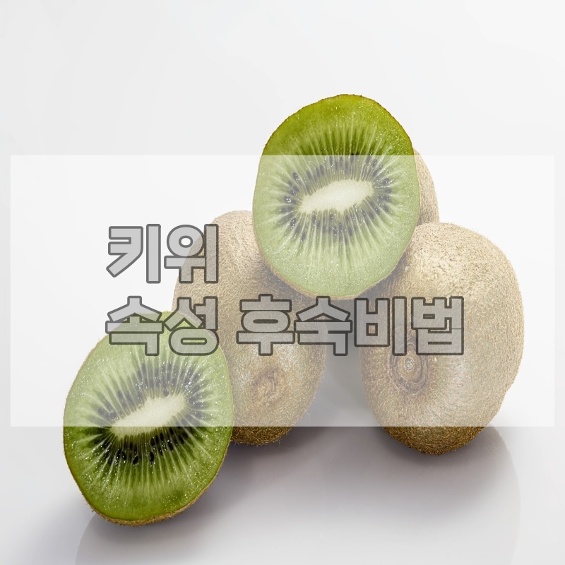 키위보관법