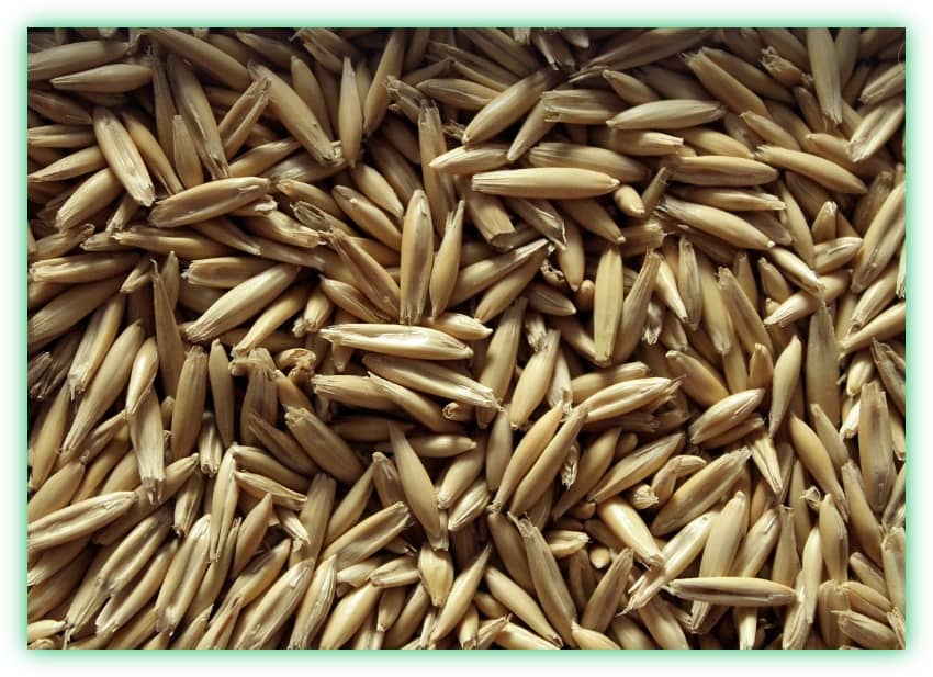 슈퍼푸드 카무트와 귀리의 효능, 차이점, 부작용