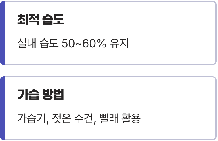 코를 위한 최고의 선물, '촉촉한 공기'