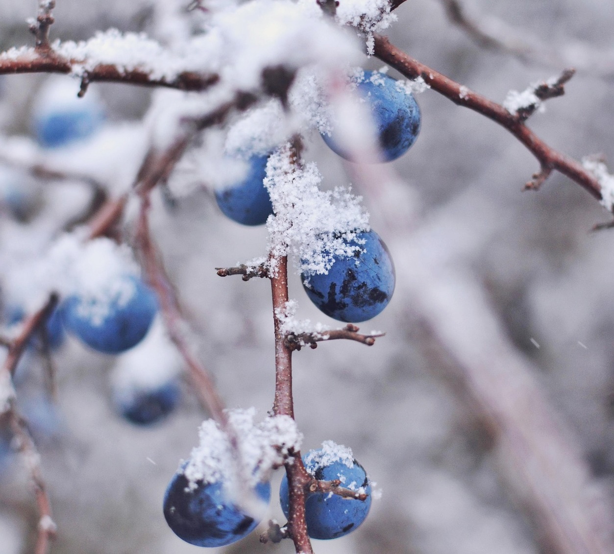 모임 많은 중년이라면 꼭 알아야 할 외식 혈당 관리법!