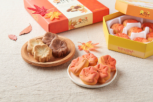 속초 가볼만한곳 과자의 성