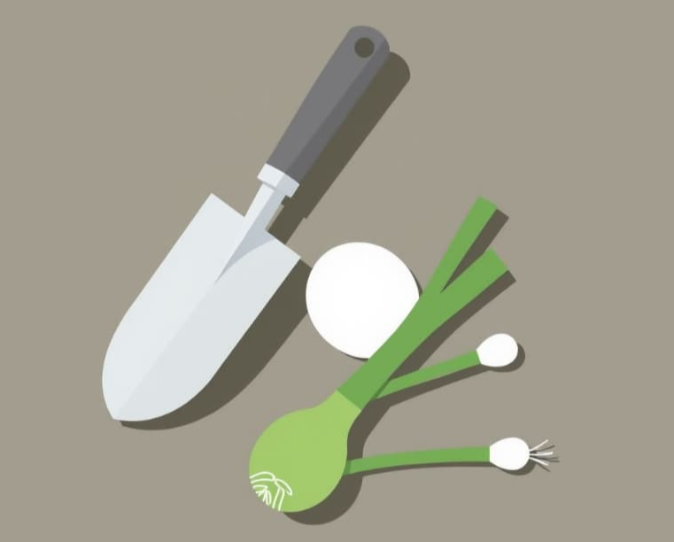 도시농부를 위한 대파 화분 재배 꿀팁