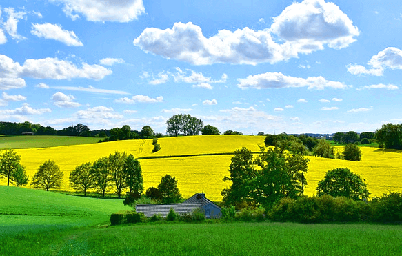 맑은 날씨이다. 파란 하늘과 하얀 구름이 가득하고 드넓은 풀밭과 누런 밭이 펼쳐졌다.