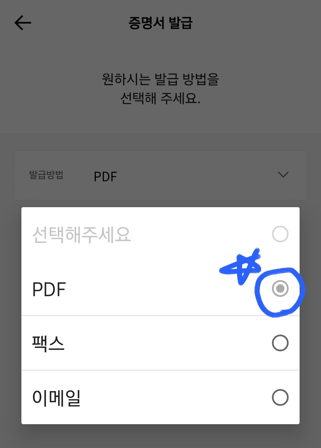 카카오뱅크 이체확인증 이체증명서 발급
