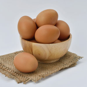 알부민 많은 음식 - 달걀