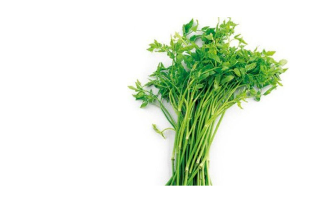 알르레기에 좋은음식