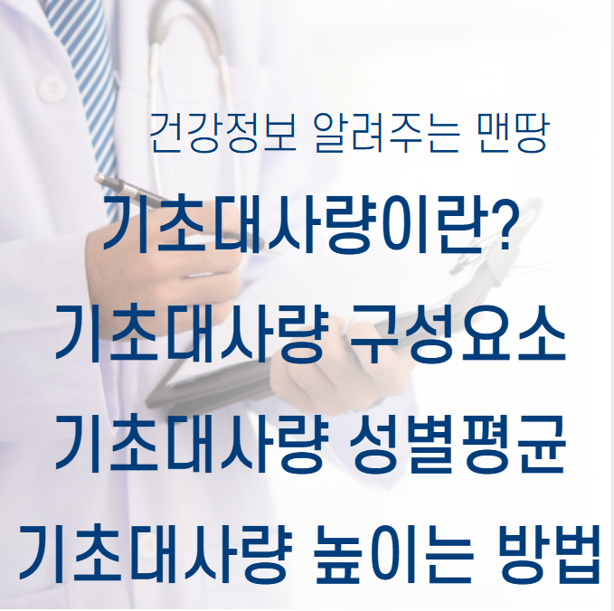 기초대사량
