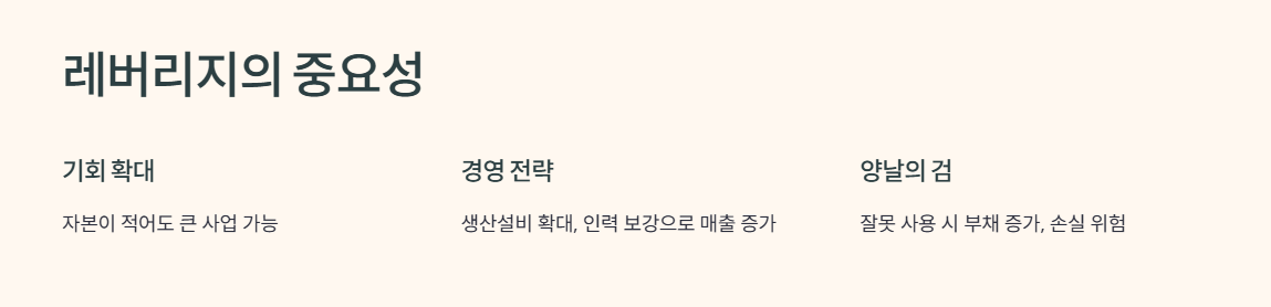 레버리지 뜻 바로 보기 2