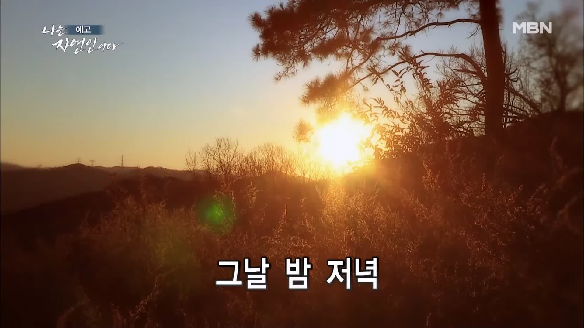 나는 자연인이다 꿈꾸는 산과 나 패션 디자이너 출신 자연인 정순열 소개 및 이승윤 출연 534회 다시보기
