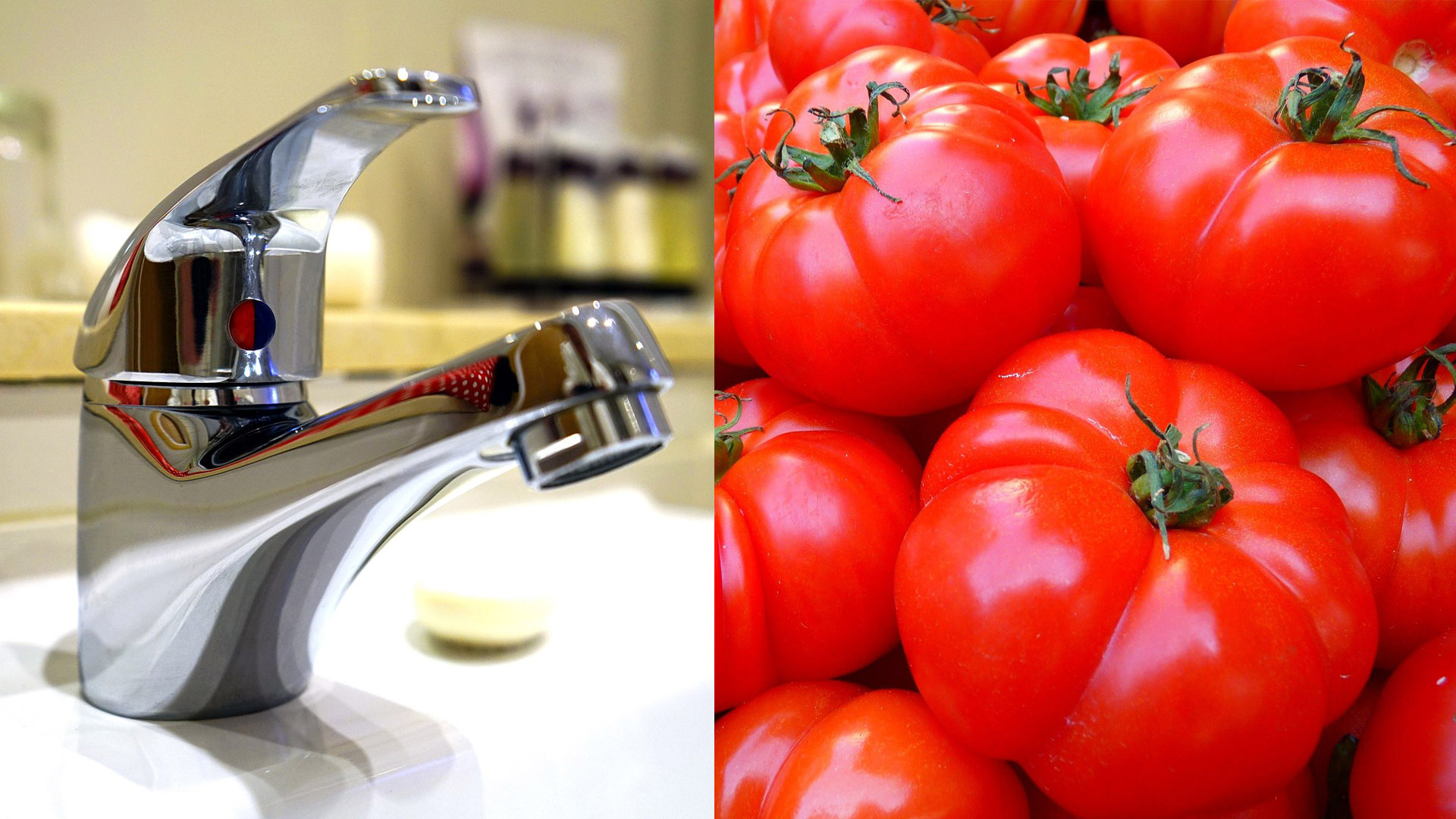 수도꼭지 녹제거 토마토의 놀라운 효과 사진