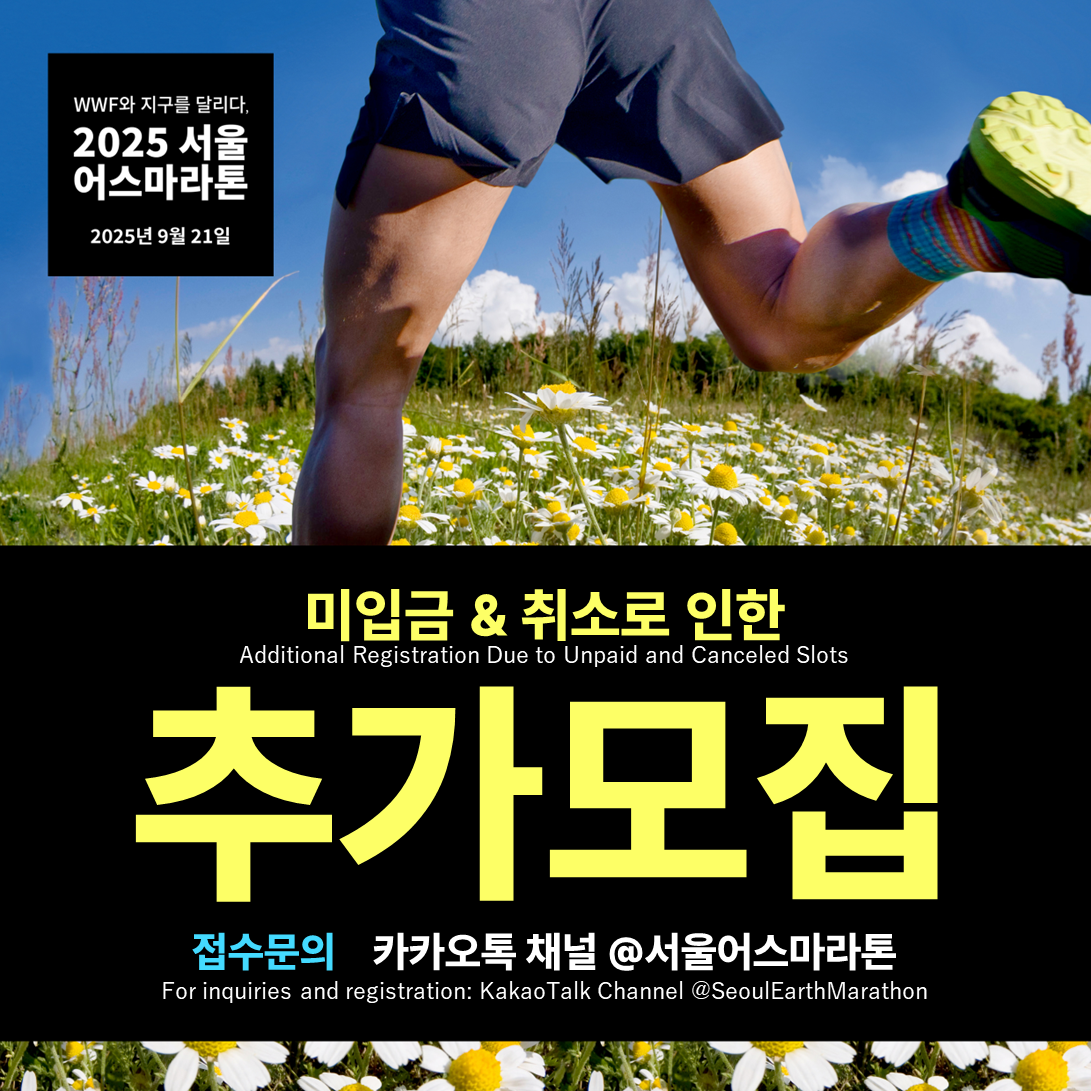 🏃&zwj;♀️ 2025서울어스마라톤 일정&middot;코스 총정리!초보 참가자 필독 가이드