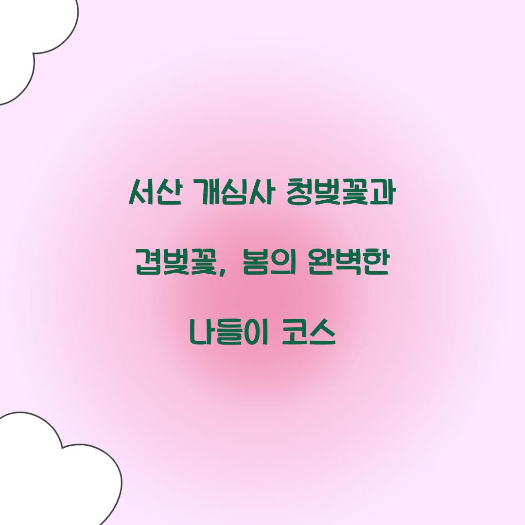 서산 개심사 청벚꽃