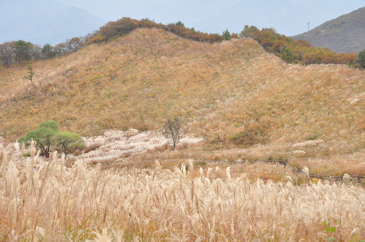 명성산