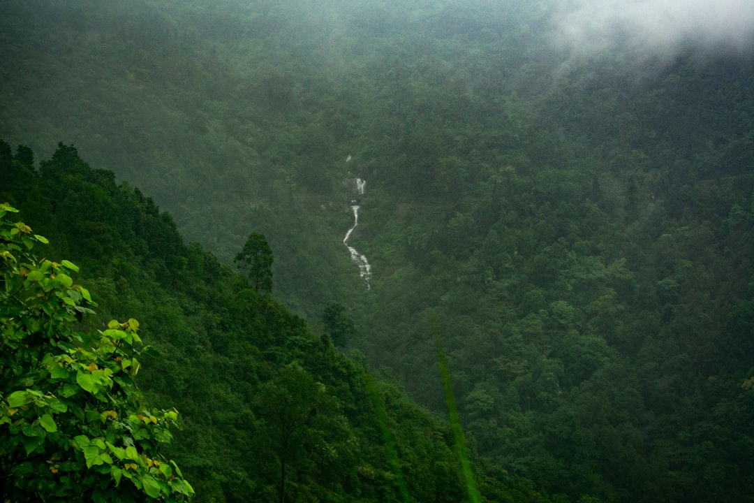 Monsoon