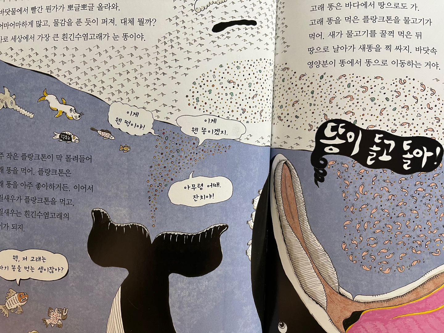 원리가 보이는 과학 5