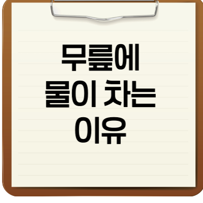 무릎에 물이 차는 이유