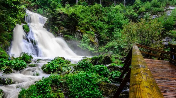 멋지게 쏟아지는 계곡물