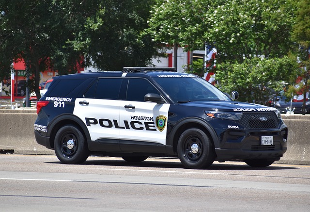 전월제 신고제 과태료 비용