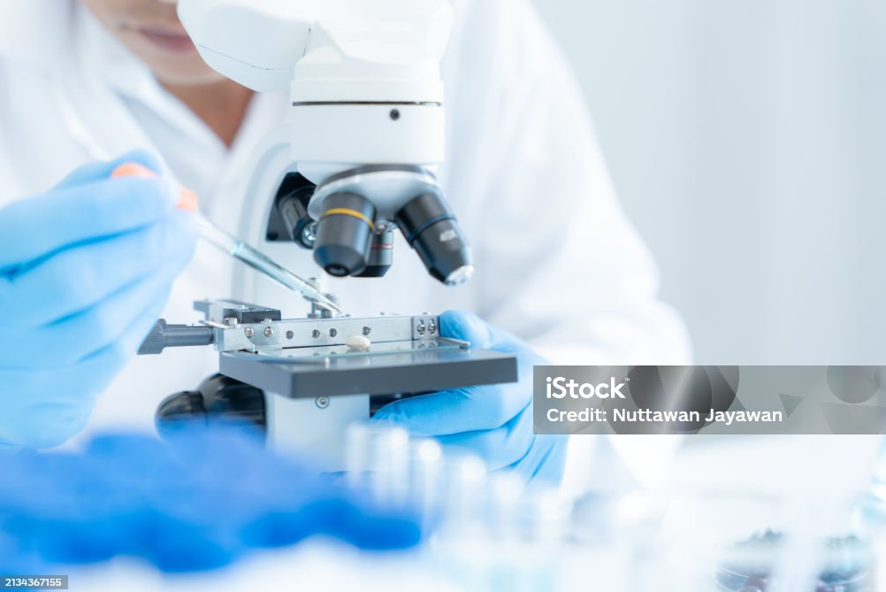 생명공학 관련 실험 사진