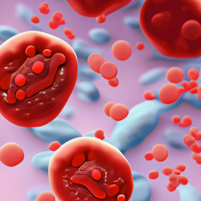 4. 당화혈색소를 높이는 음식