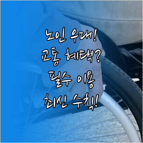 노년 이동권 보장: 노인복지법 근거 ..