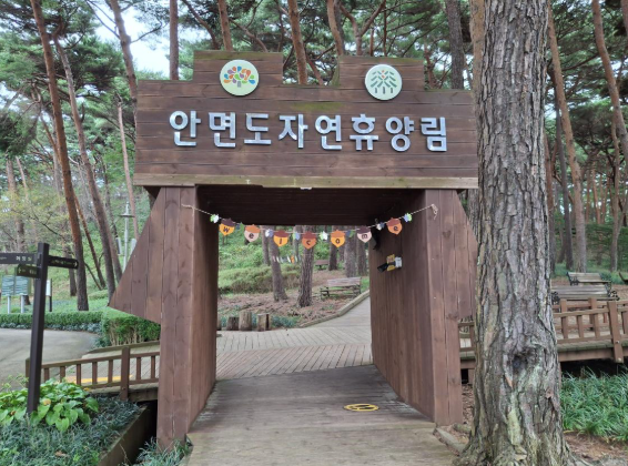 안면도자연휴양림