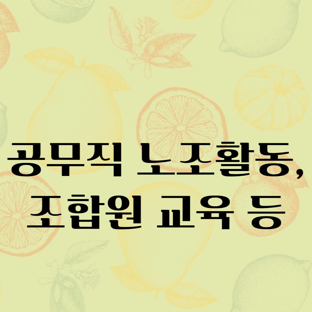 공무직 노조활동 및 조합원 교육 썸네일